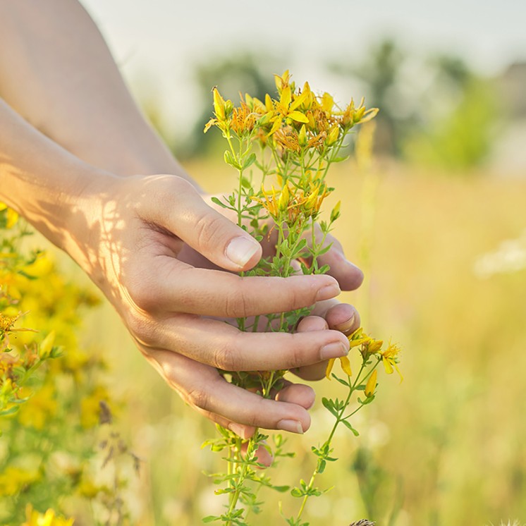 Marine Collagen Sleep - Serenity - Melatonin and 5-HTP