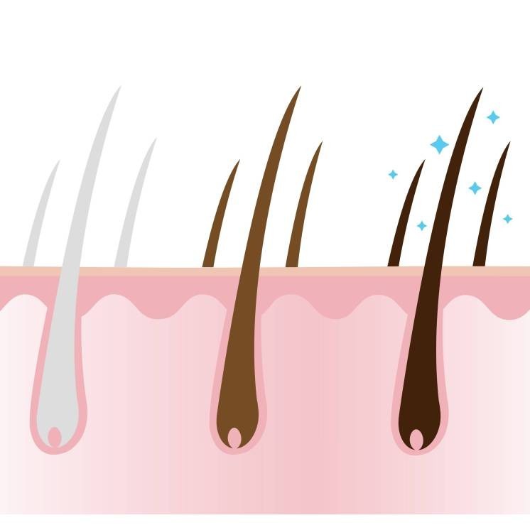 Marine Collagen for GRAY & WHITE HAIR