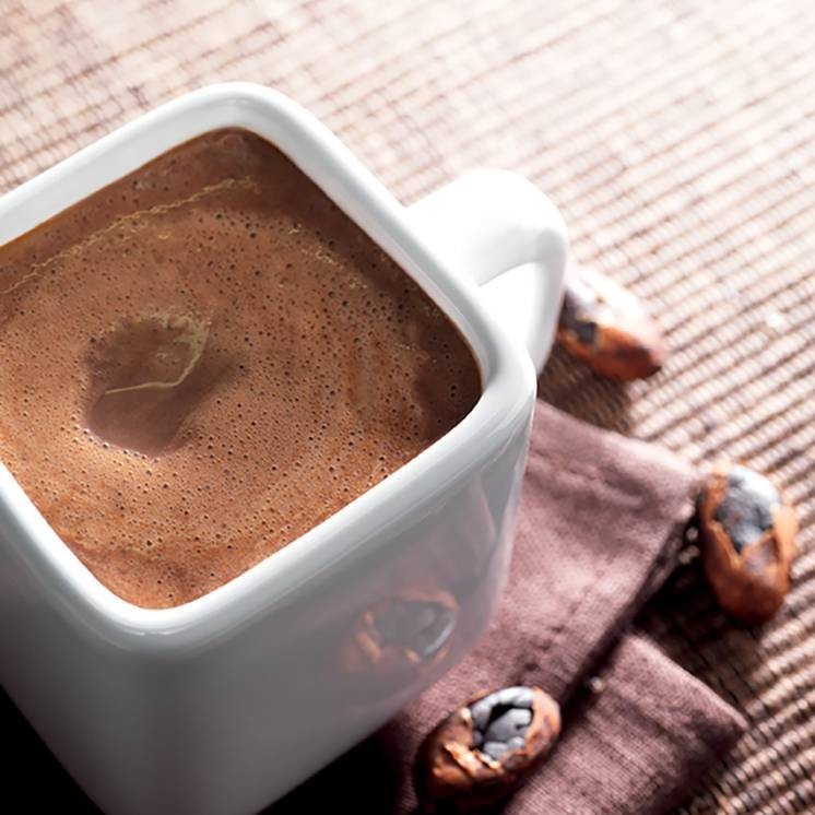 Hot Chocolate Protein Drink, Chocolate Protein Drink by Nuviline