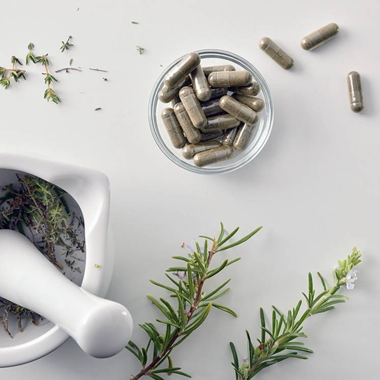 Natural Defenses - Immunity and Antioxidant Capacity