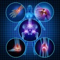 Marine Collagen and Egg shell membrane, Joints Plus