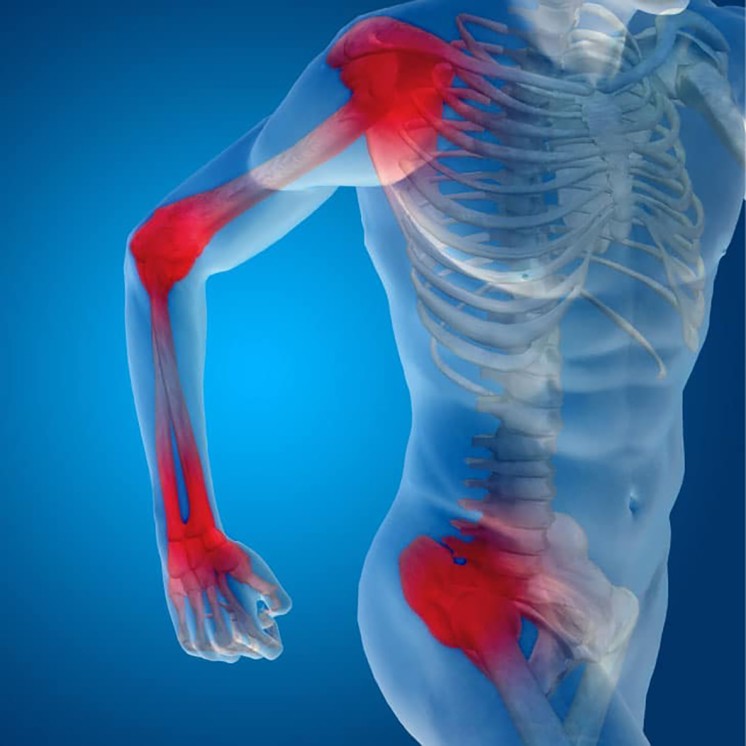 Marine Collagen Powder: Benefits and Use